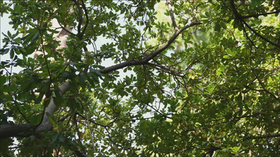 Elevate Your Everyday Style